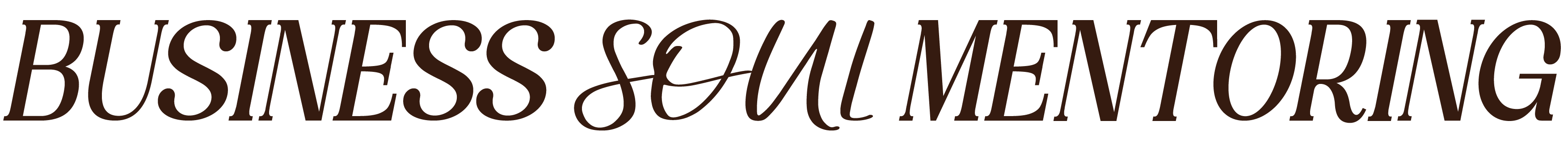 Business Soul Mentoring Logo Braun